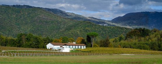 Podere Bellazoia