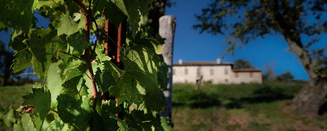 Podere San Giovanni al Natisone