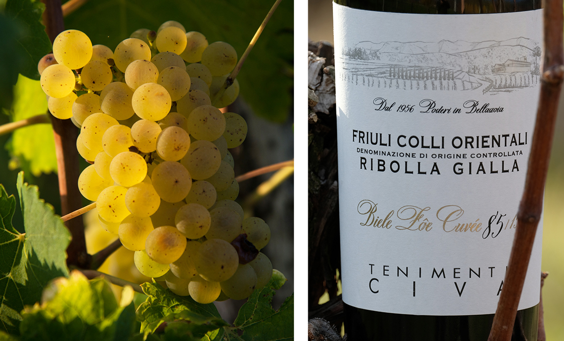 NEW REGULATIONS FOR RIBOLLA GIALLA: MEETINGS FOR ITS DEFINITION CONCLUDED