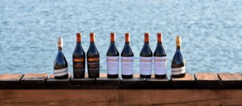 Tenimenti Civa apre il wine shop online Bottiglie e sfondo