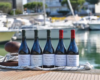 Tenimenti Civa vini Ribolla Gialla, Sauvignon, Chardonnay, Refosco dal peduncolo rosso e Merlot